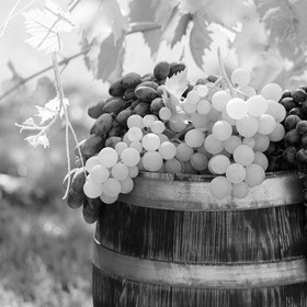 Ретейлеры воодушевились возможностью продажи спиртного через маркетплейсы