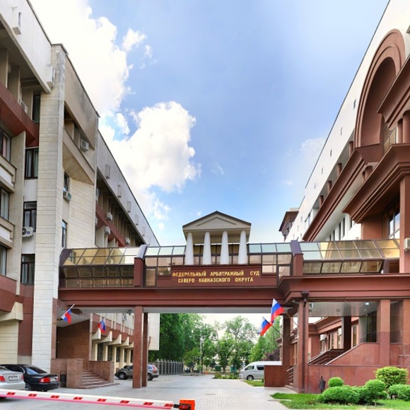 Кассационная инстанция согласилась с доводами специалистов 